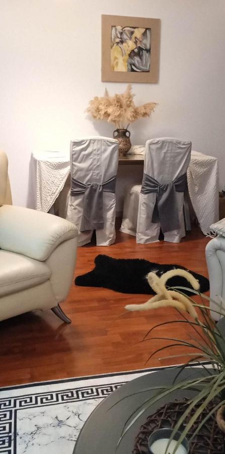 Lovely Cozy Apartment In The Entrance Of Nicosia Aglantzia Dış mekan fotoğraf